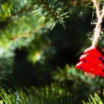 5 idee alternative per un albero di Natale in piccoli spazi!