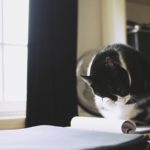 Comfort visivo: l'importanza della luce a casa!