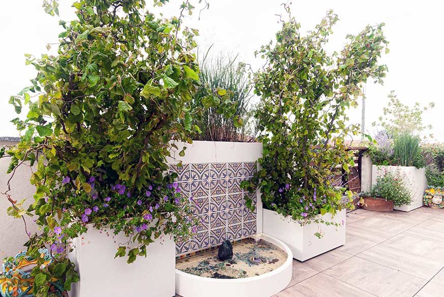 Foto realizzazione 3_Il terrazzo Mediterraneo di Maria