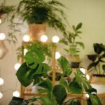 L'illuminazione artificiale del tuo balcone non ti soddisfa? Ecco in quanti modi puoi creare la giusta atmosfera per le serate estive!